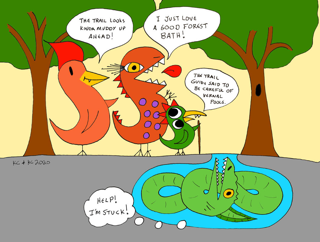 Vern of the vernal pools Vern of the vernal pools