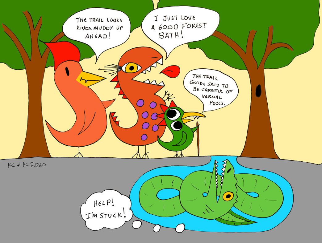 Vern of the Vernal Pools