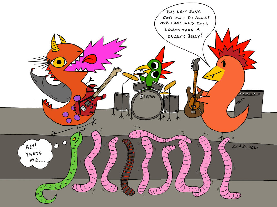 Lower than a Snakes Belly